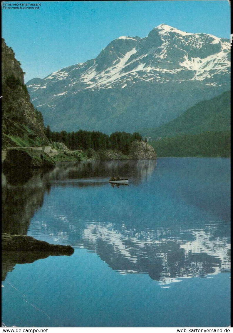 1130879 Fischer Bei Maloja Mit Blick Gegen Sils Und Piz Corvatsch - Engadin - Sils Im Engadin/Segl