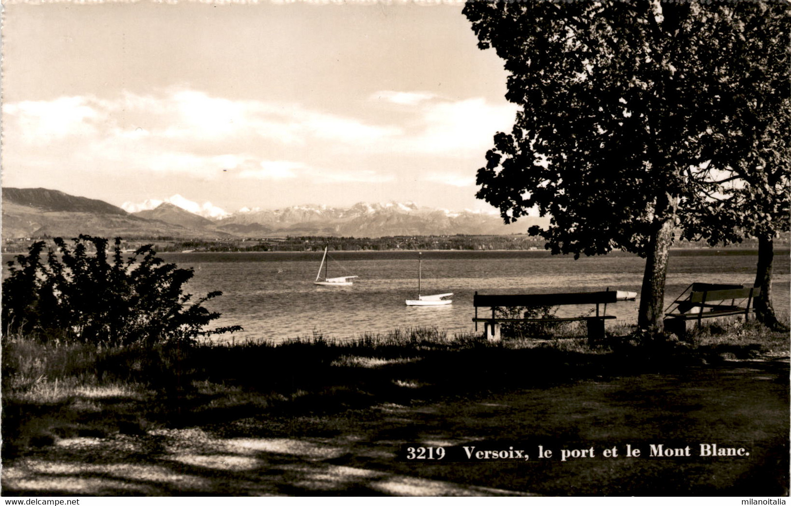 Versoix, Le Port Es Le Mont Blanc (3219) - Versoix
