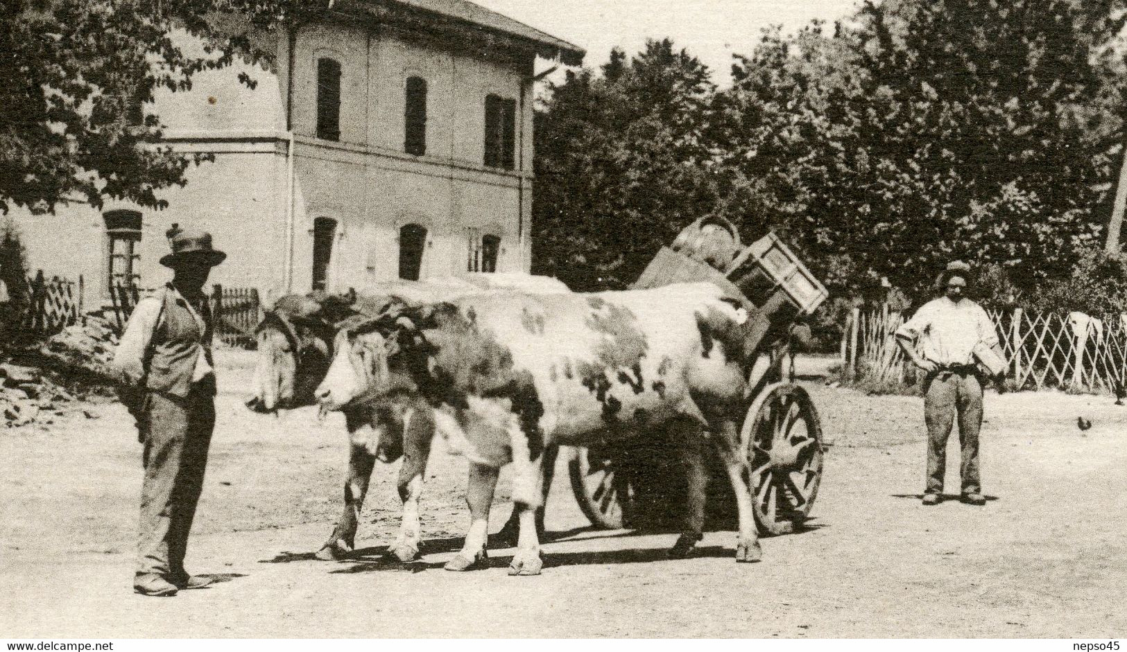 Xertigny Vosges ( 88) Attelage De Boeufs Devant La Gare.carte Animée. - Xertigny