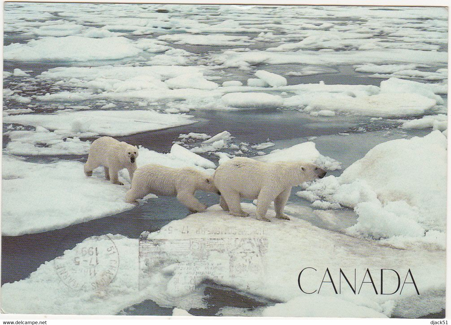 Canada - Arctic Hopscotch - La Marelle De L'Arctique (Ours Polaires) - Timbres - Stamps - 1991 - Cartes Modernes