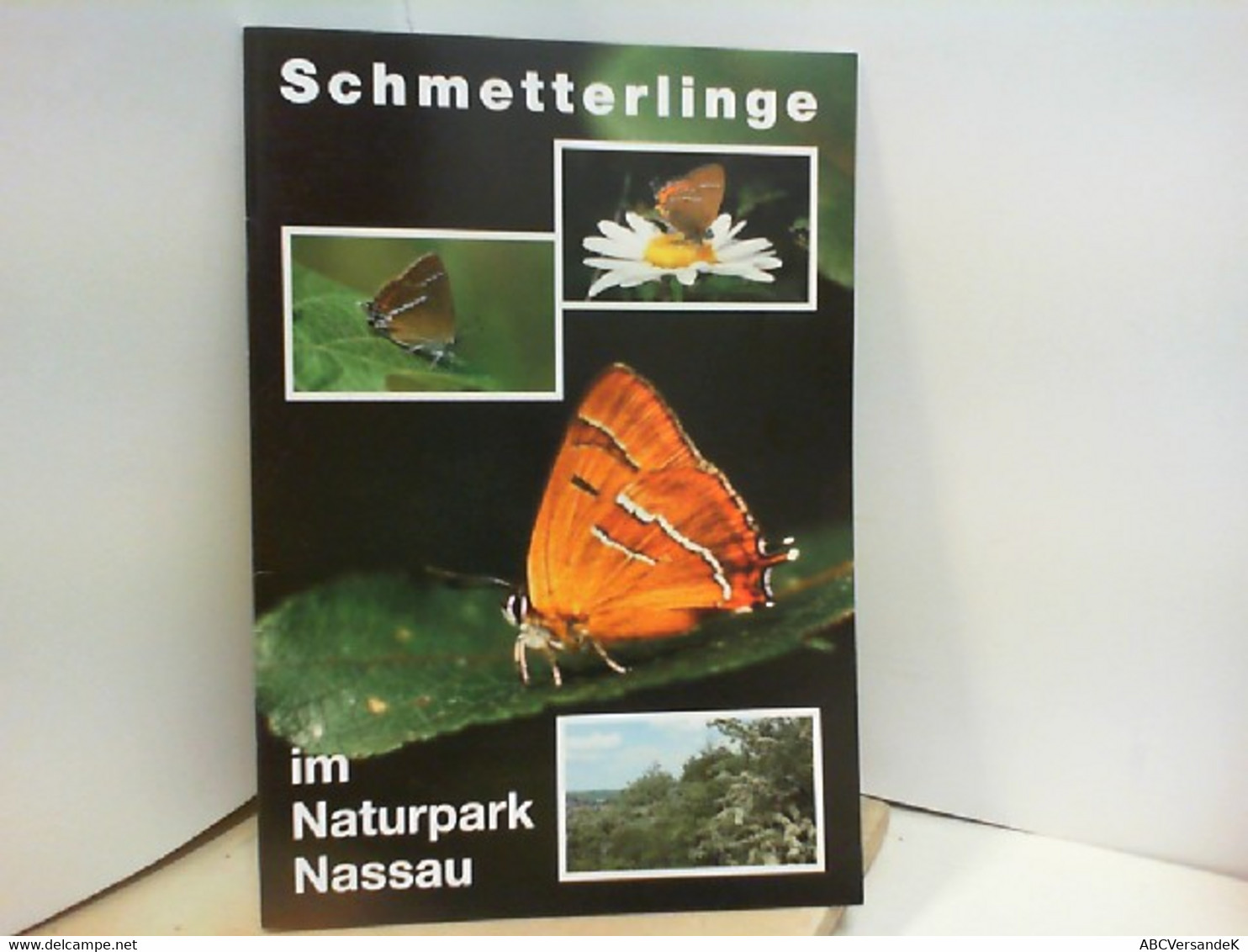 Schmetterlinge Im Naturpark - Animales