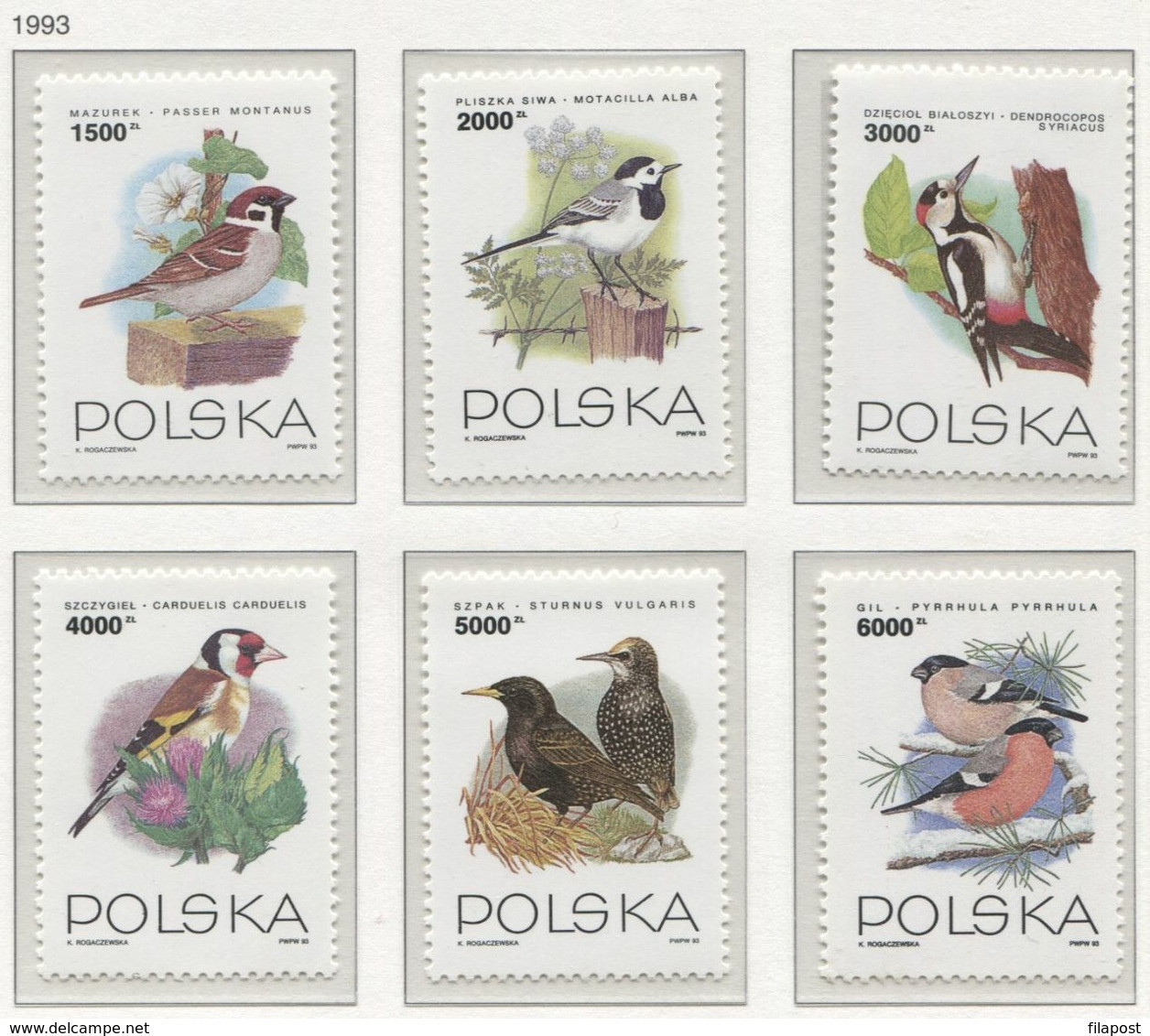 Poland 1993 Mi 3358-63 Garden Birds, Various Species, Nature, Trees, Full Set MNH ** - Unused Stamps