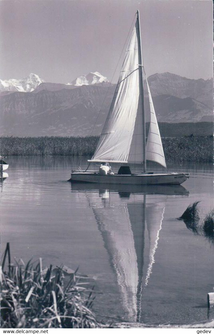 Segelschiff Auf Dem Thunersee (19156) - Water-skiing