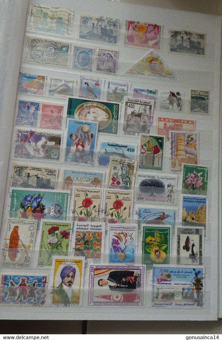 LOT DE 97 TIMBRES TUNISIE  VOIR DETAIL - Tunisia