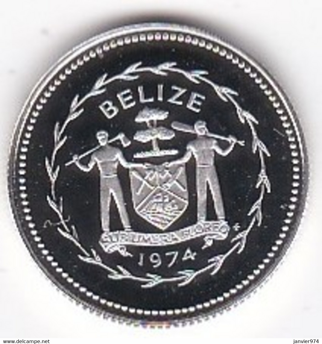 Belize 10 Cents 1974 , Oiseau, En Argent,  Silver PROOF, UNC, KM# 40a - Belize