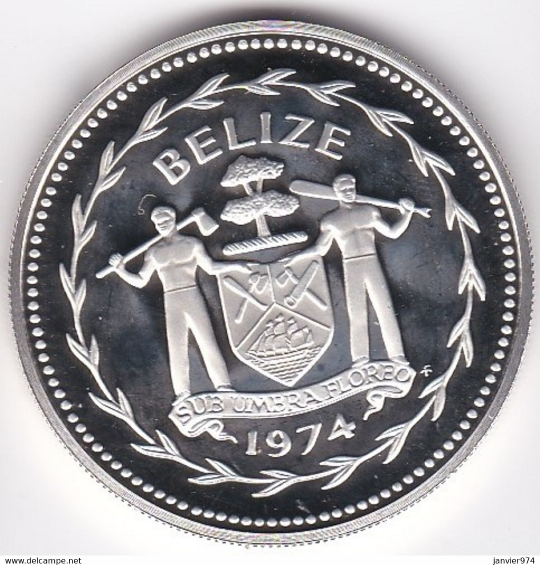 Belize 10 Dollars 1974 , Oiseau, En Argent,  Silver PROOF, UNC, KM# 45a - Belize