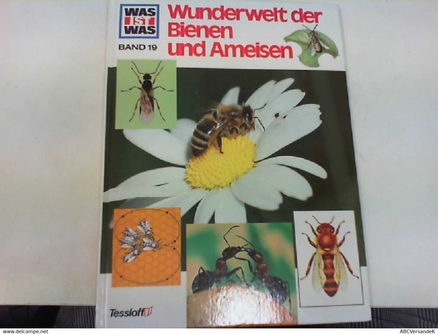 Wunderwelt Der Bienen Und Ameisen - Tierwelt
