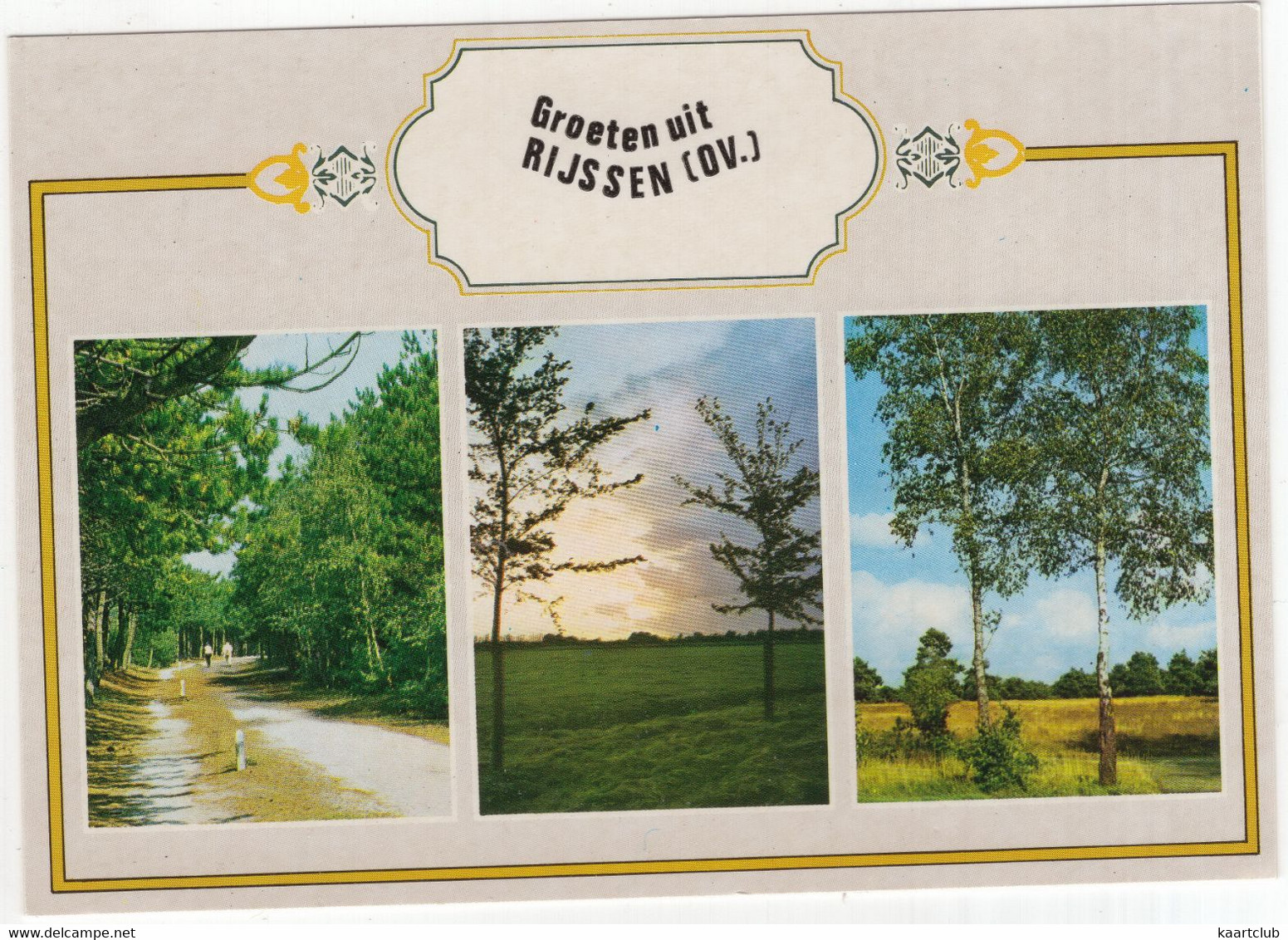 Groeten Uit Rijssen (OV.) - (Nederland / Holland) -  Nr. 794- Bomen, Natuur - Rijssen