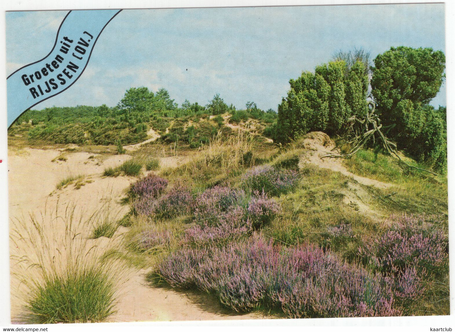 Groeten Uit Rijssen (OV.) - (Nederland / Holland)  - Nr.  603 - Zand En Heide - Rijssen