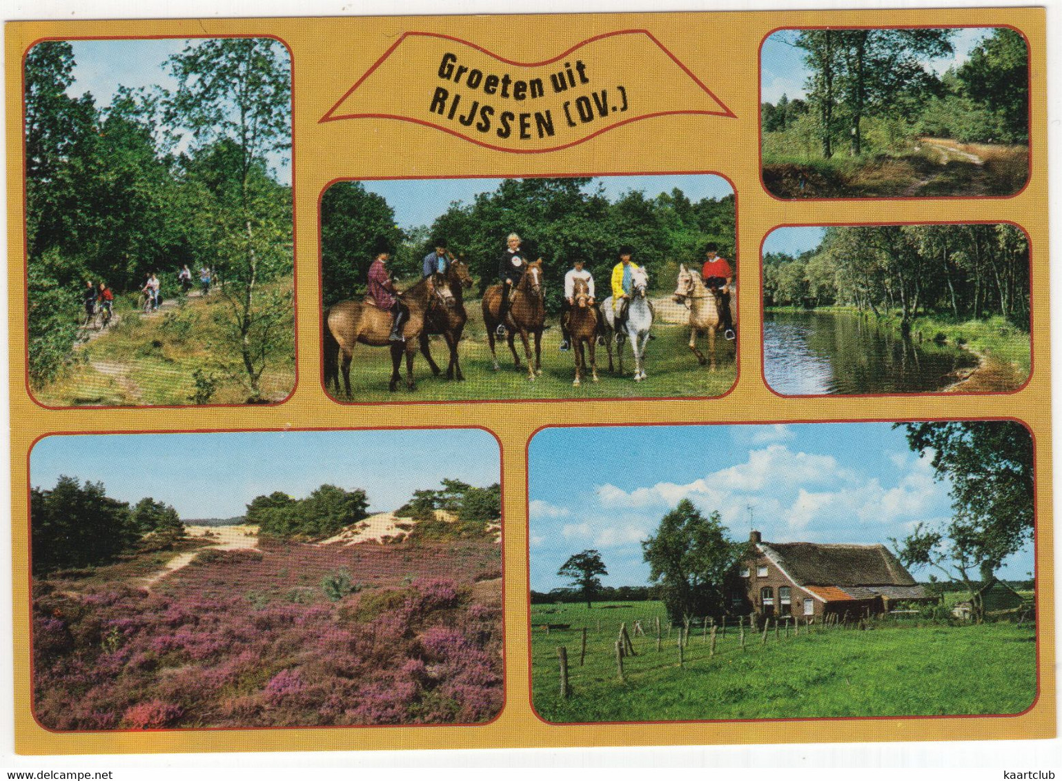 Groeten Uit Rijssen (OV.) - (Nederland / Holland)  - 733 - Natuur, Dieren, Boerderij - Rijssen