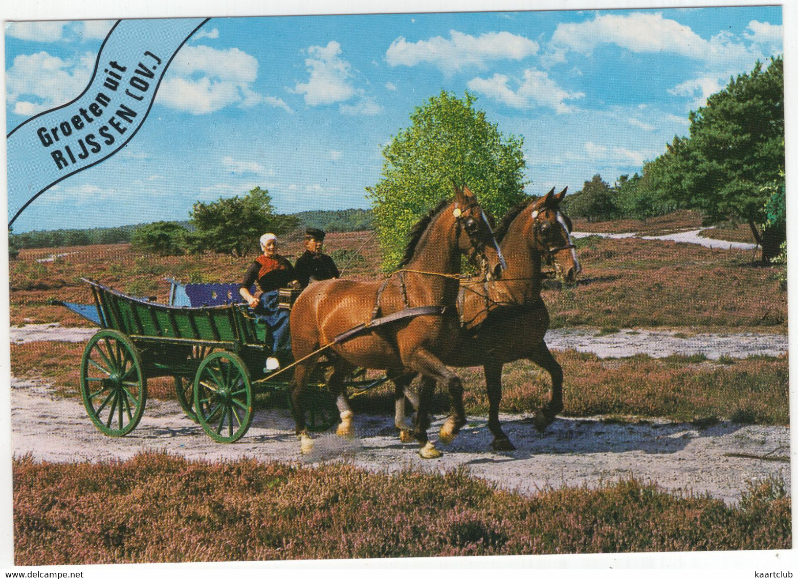 Groeten Uit Rijssen (OV.) - (Nederland / Holland)  - Nr. 662 - Paard En Wagen Over De Heide - Rijssen