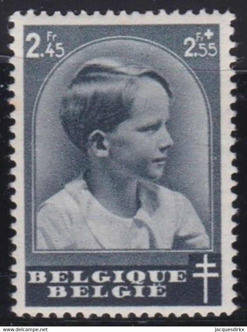 Belgie   .    OBP   .   446     .    **     .    Postfris   .   /    .   Neuf SANS Charnière - Nuovi