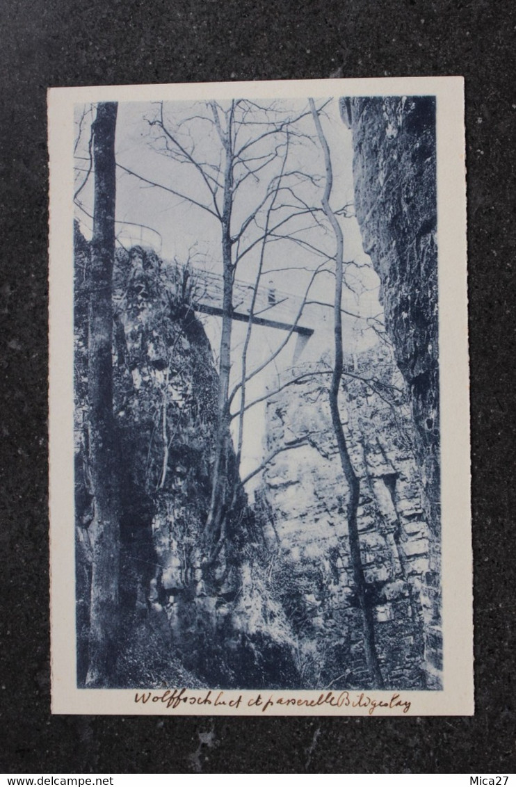 Echternach - Wolfschlucht Avec Passerelle Sur Bildgeslay - Echternach