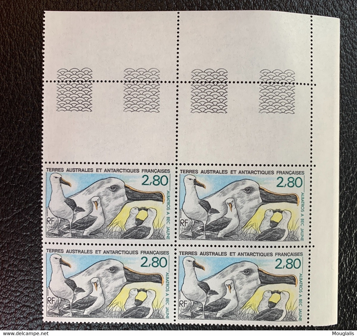 TAAF 1990 N° 150 ** Bloc De 4 + 1 Seul Coin Daté Neuf MNH Superbe C 7 € Faune Oiseaux Birds Albatros Bec Jaune Animaux - Verzamelingen & Reeksen