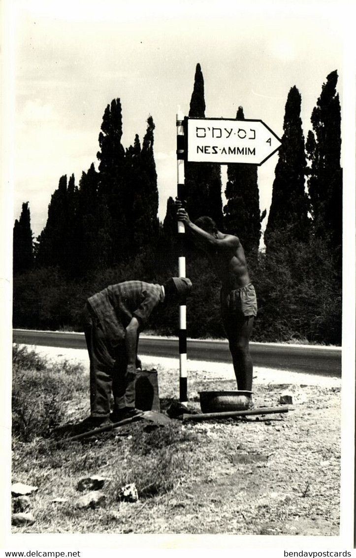 Israel Palestine, Signpost To NES-AMMIM (1950s) RPPC Postcard - Israel