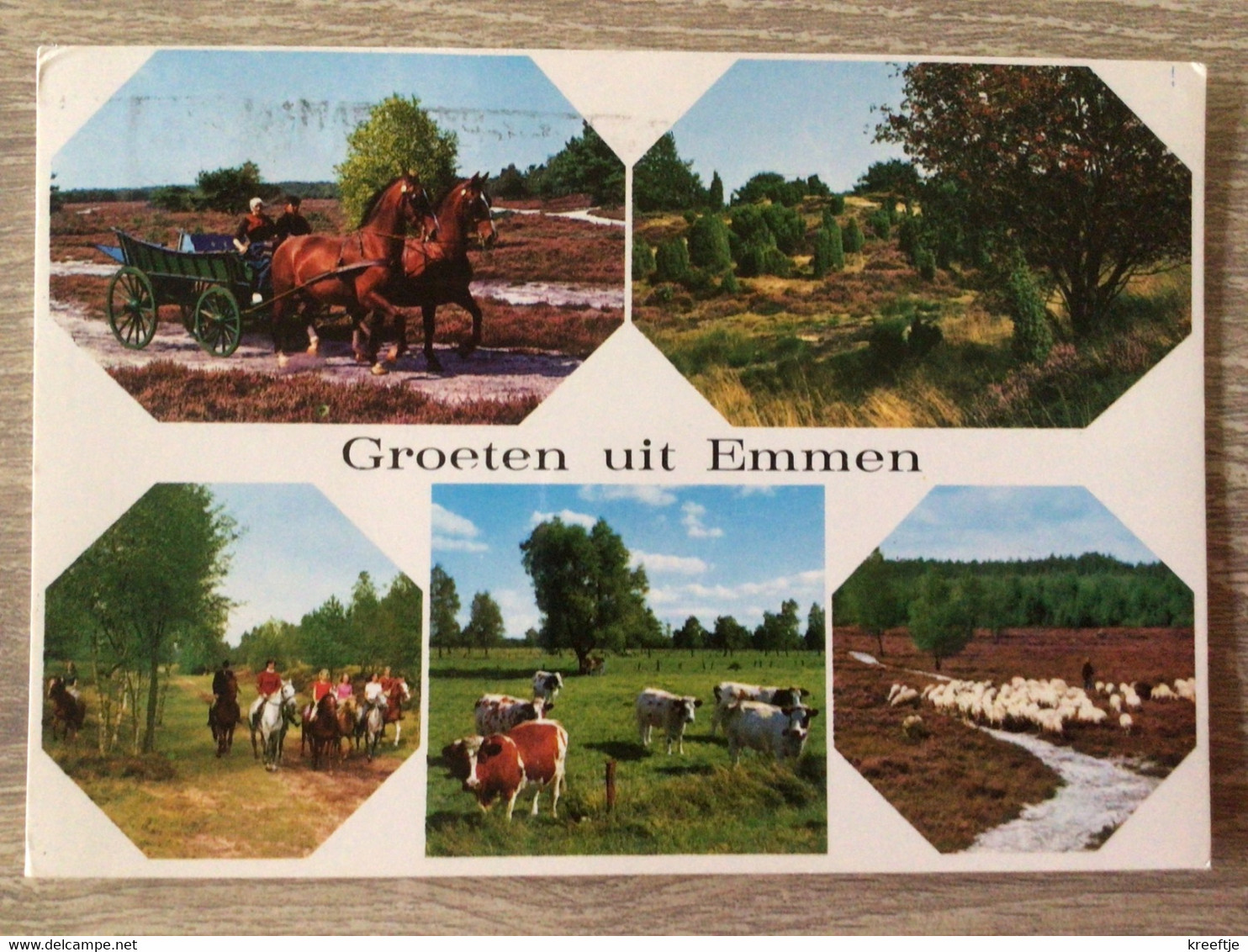 Nederland Groeten Uit Emmen ( Paarden Koeien Schapen) - Emmen