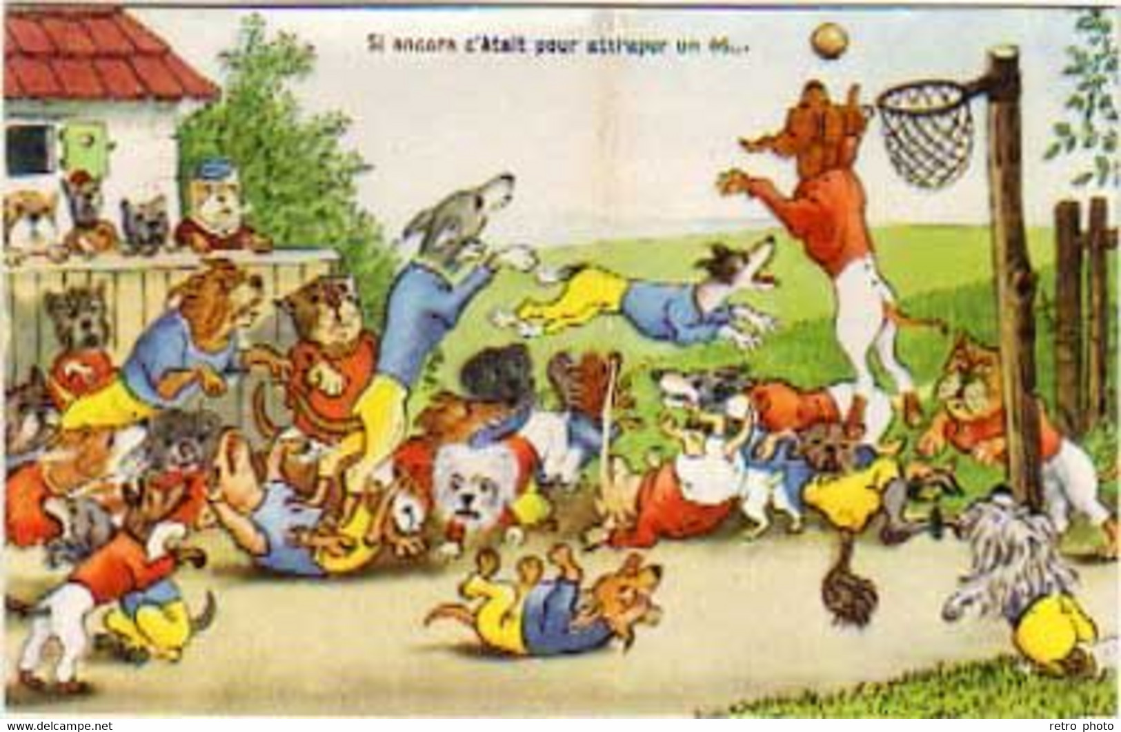 Cpa Animaux Humanisés, Chiens, Match De Basket ( Lévrier, Bouledogue, Teckel ... )  ( S. 9930) - Dressed Animals