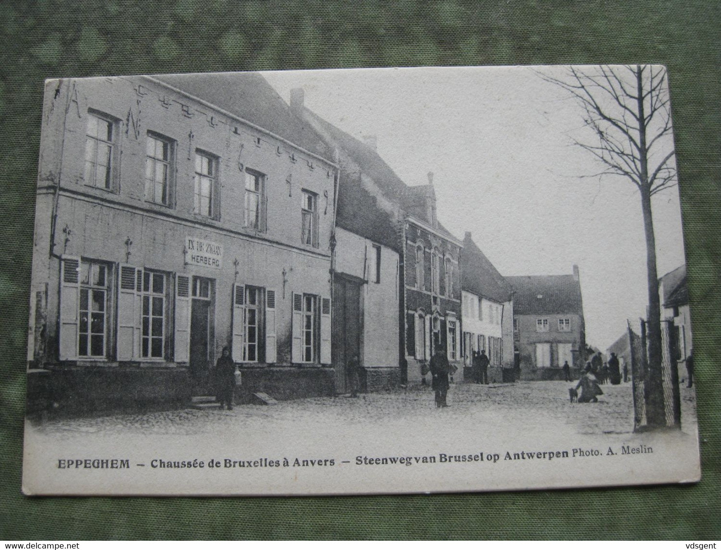 EPPEGEM - CHAUSSÉE DE BRUXELLES A ANVERS ( Herberg "In De Zwaan" ) - Zemst