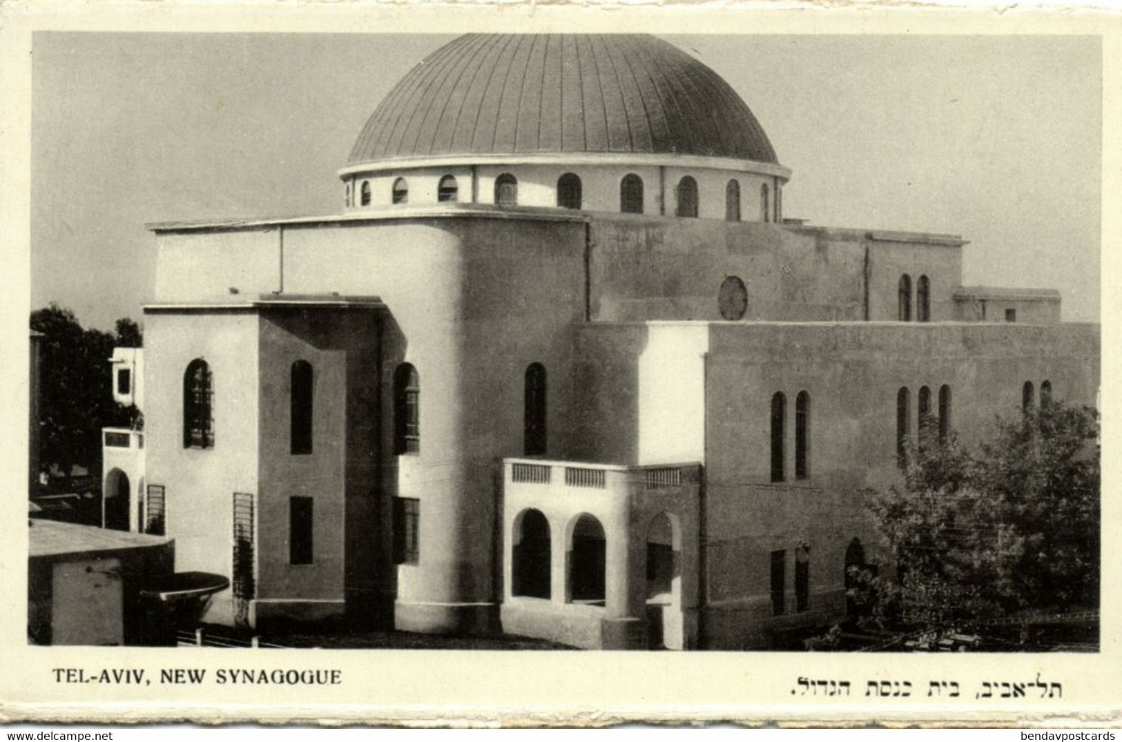 Israel Palestine, TEL-AVIV, New Synagogue, Judaica (1930s) Schwartz Postcard - Israel