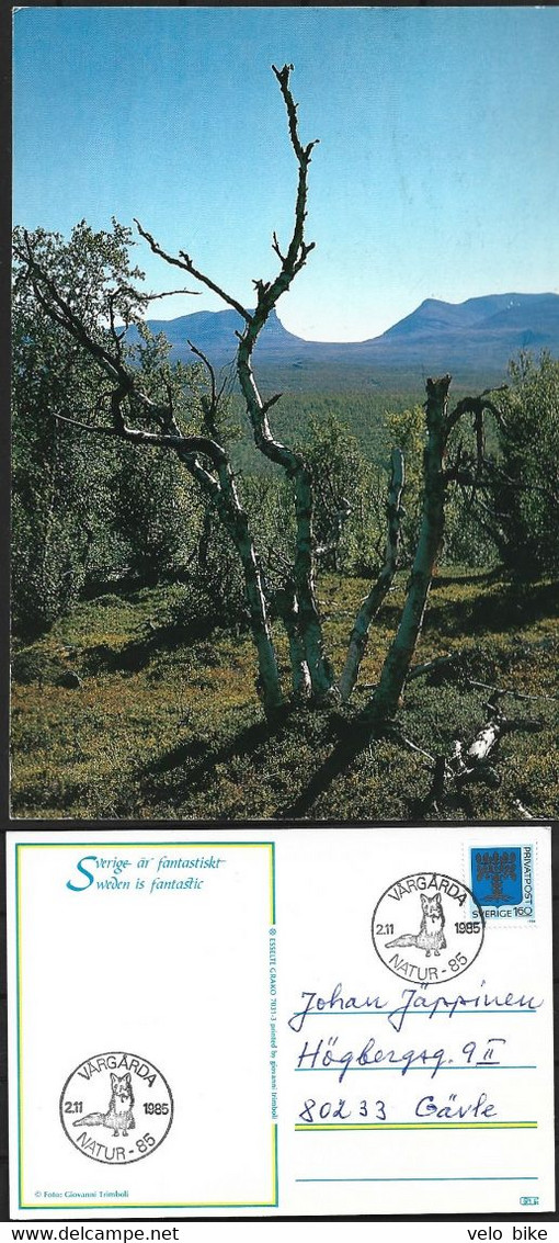 Sweden Pickture Postcard Nature Lapporten Postmark Fox Vårgårda 1985-b - Autres & Non Classés