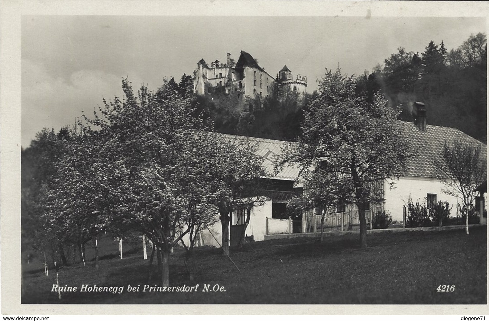 Ruine Hohenegg Bei Prinzersdorf N.Oe - St. Pölten