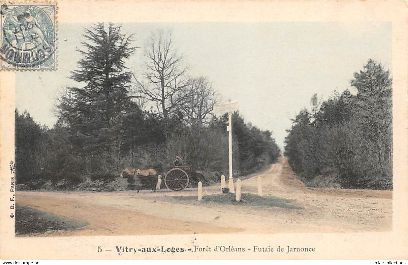 Vitry-aux-Loges        45       Forêt D'Orléans  Futaie De Jarnonce               (voir Scan) - Sonstige & Ohne Zuordnung