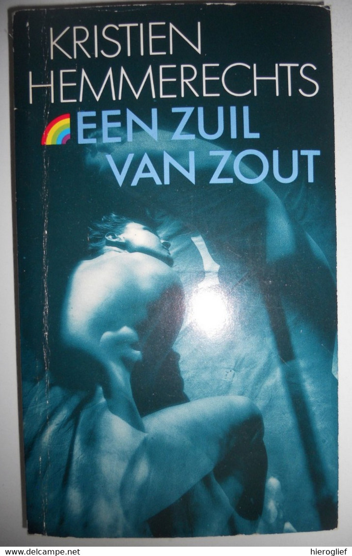 EEN ZUIL VAN ZOUT - Roman Door Kristien Hemmerechts - Letteratura