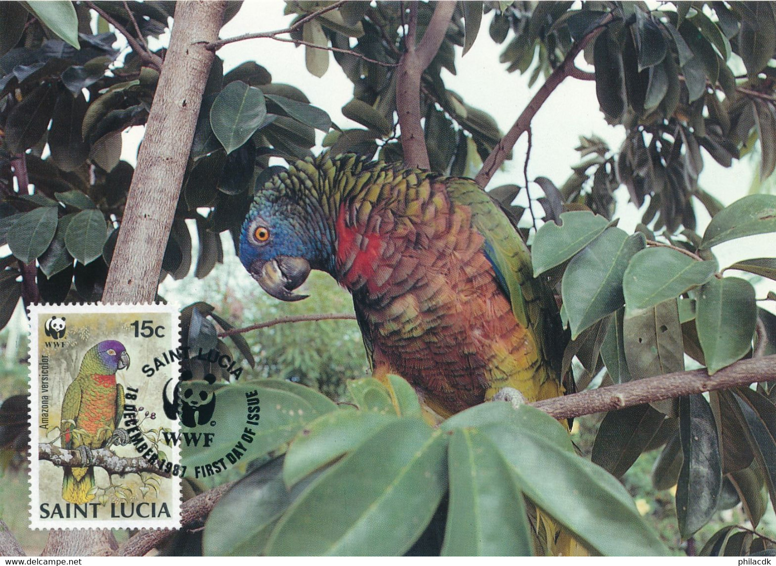 WWF - LOT DE 4 CARTES MAXIMUM FIRST DAY OF ISSUE SAINT LUCIA 18 SEPTEMBRE 1987 - Cartes-maximum