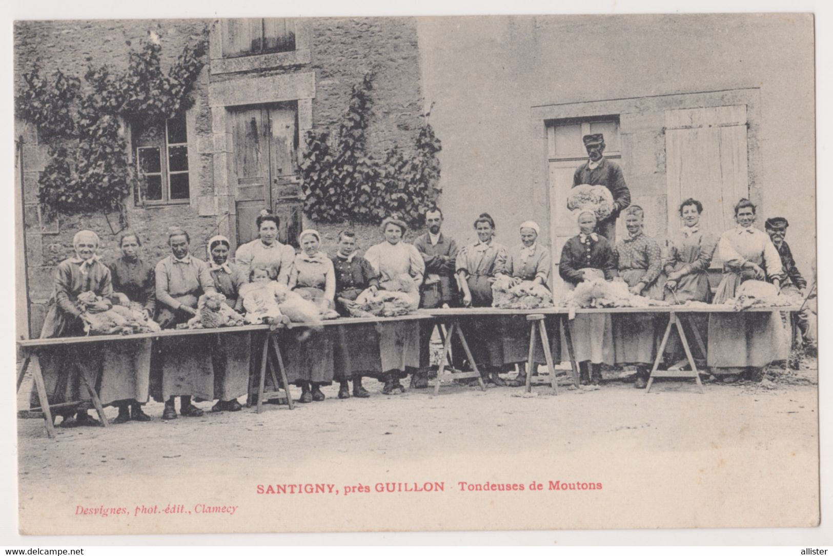 CPA 89 _ SANTIGNY Près GUILLON ( Yonne ) _ Tondeuses De Moutons - {S05-22} NT - Guillon