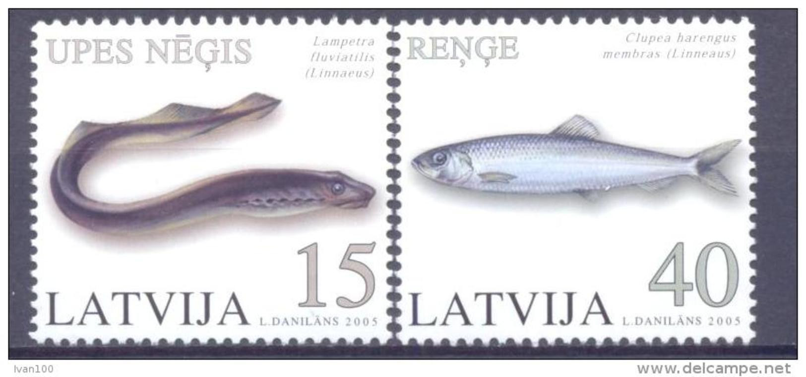 2005. Latvia, Fishes, 2v,  Mint/** - Lettland