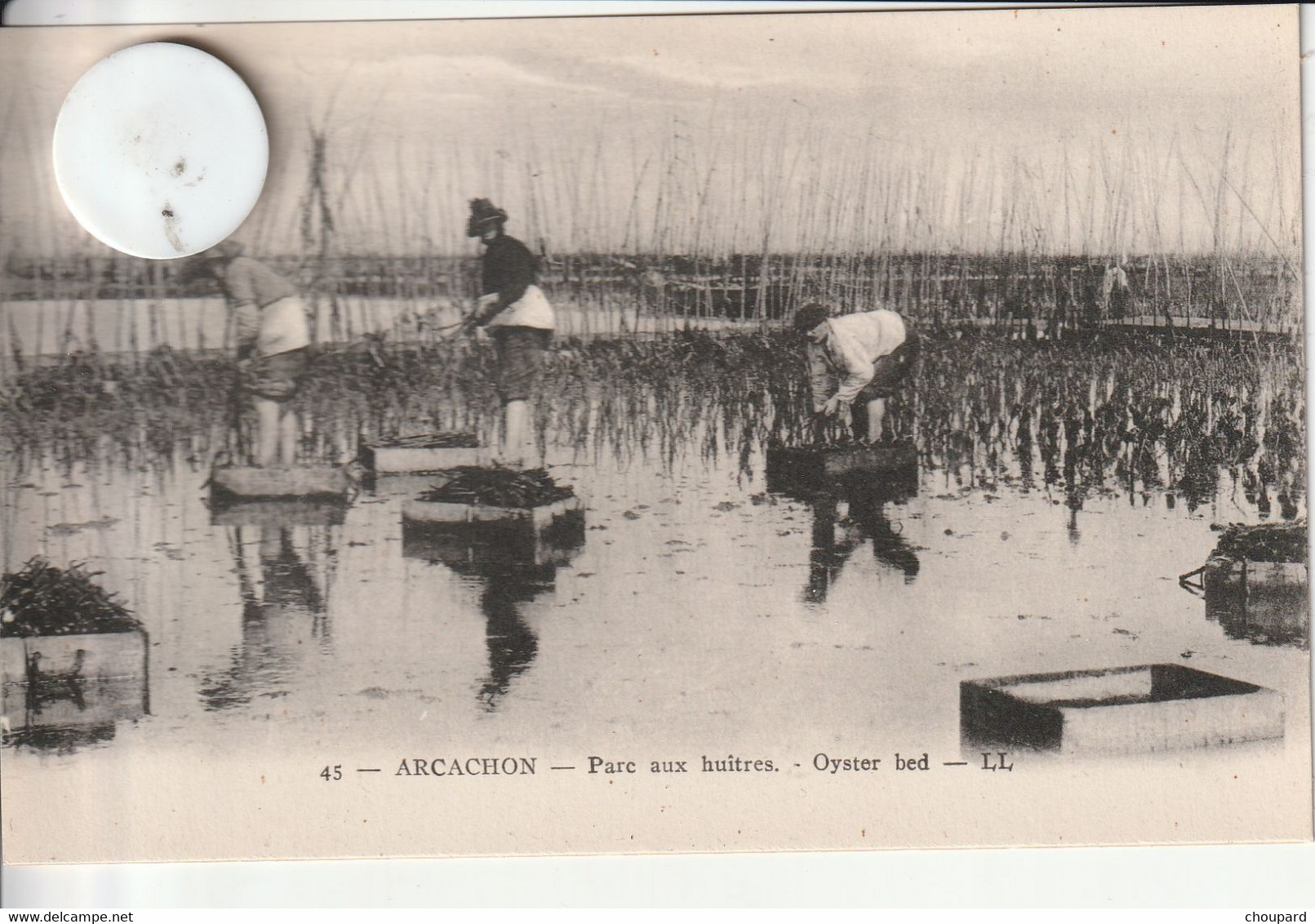 33 - Carte Postale Ancienne  De  ARCACHON  Parc à Huitres - Arcachon