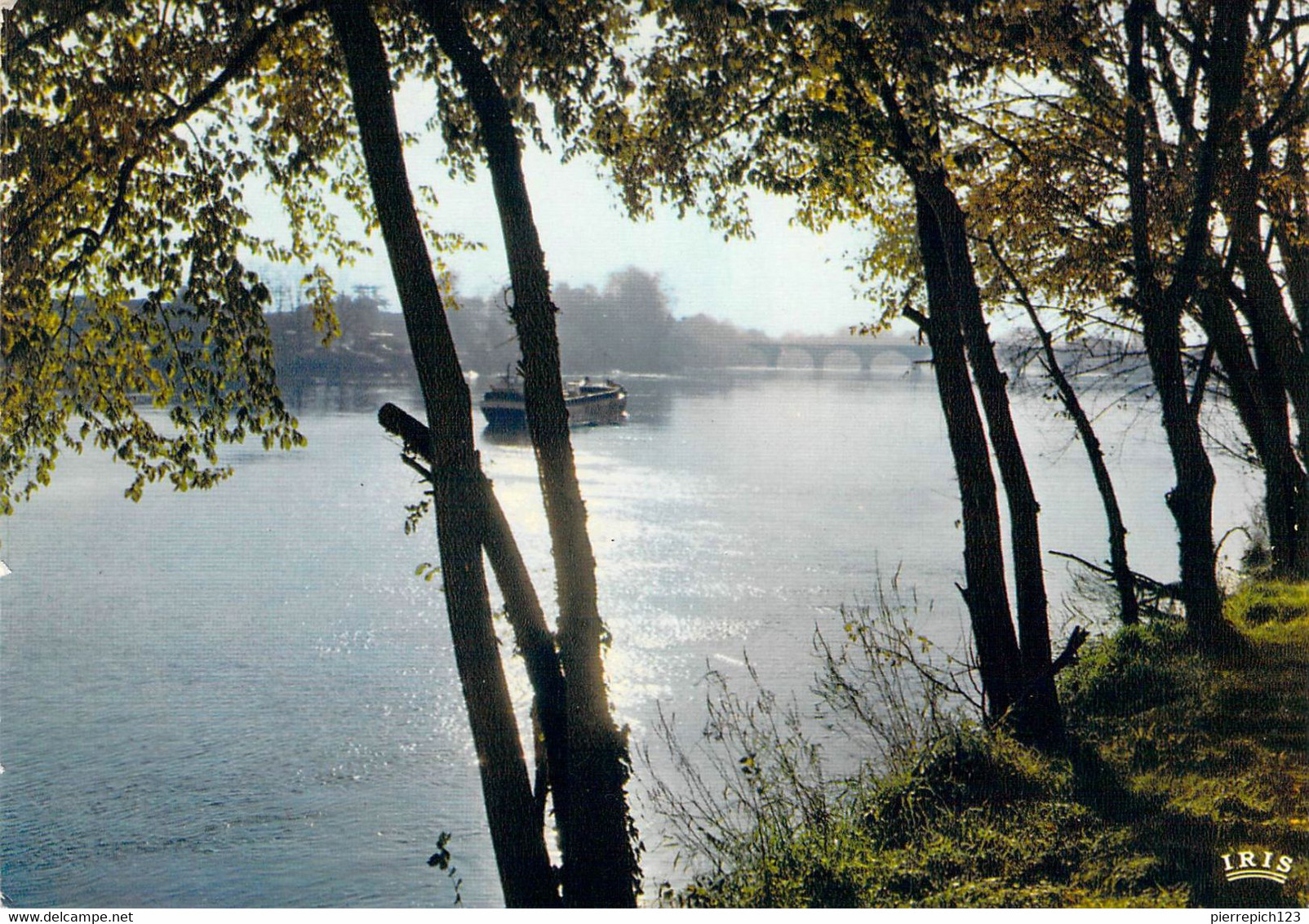 33 - Libourne - Les Bords De La Dordogne - Libourne