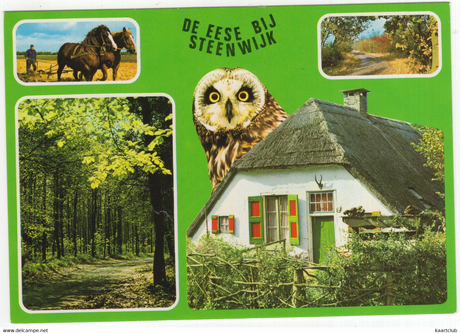 De Eese Bij Steenwijk - (Overijssel, Nederland / Holland) - Nr. L 7435 - Bos, Uil, Boerderij, Paarden - Steenwijk