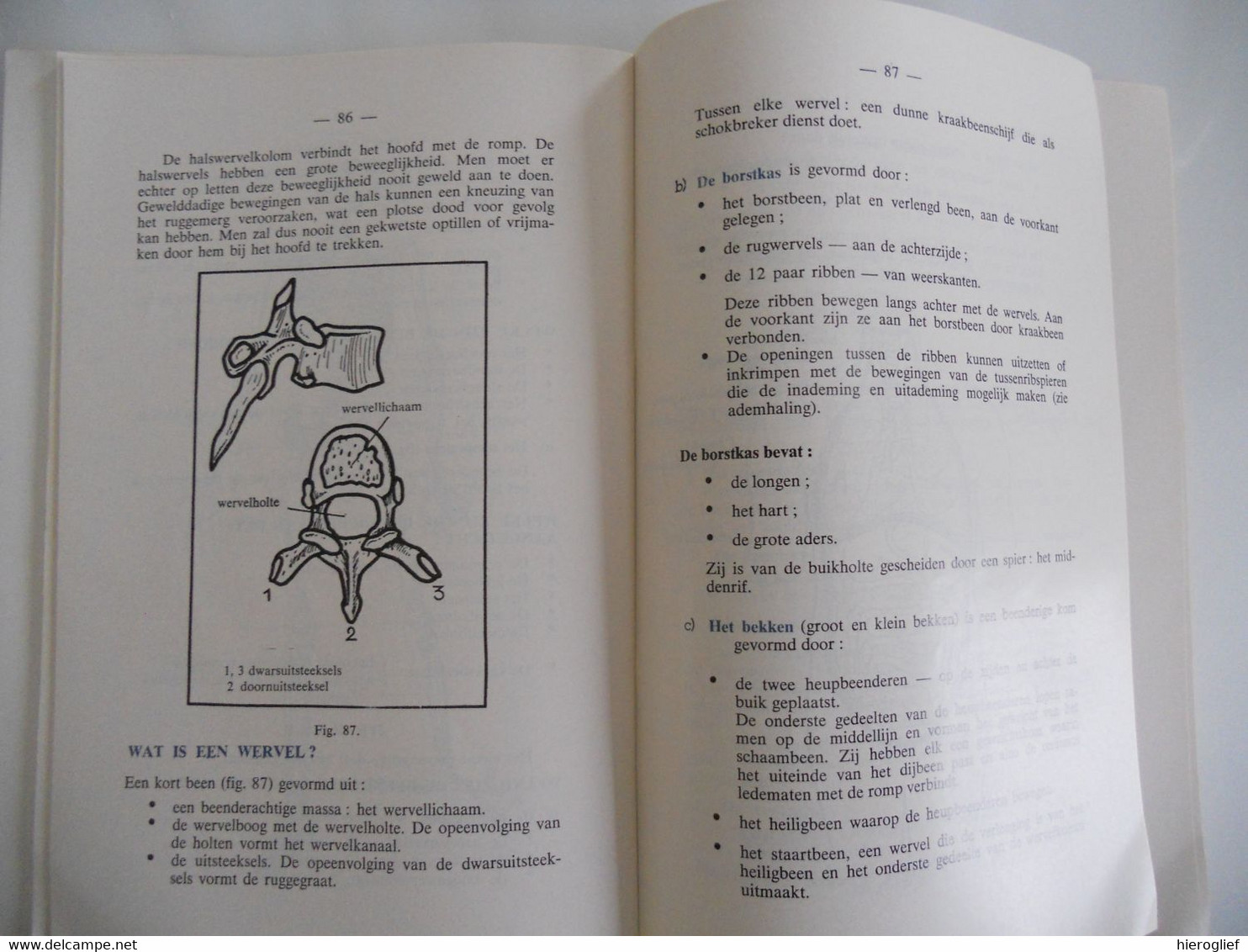 Het Rode Kruis Van België - Leergang Voor Helpers E.H.B.O.  Gewrichten Bloedsomloop Verwondingen - Sachbücher