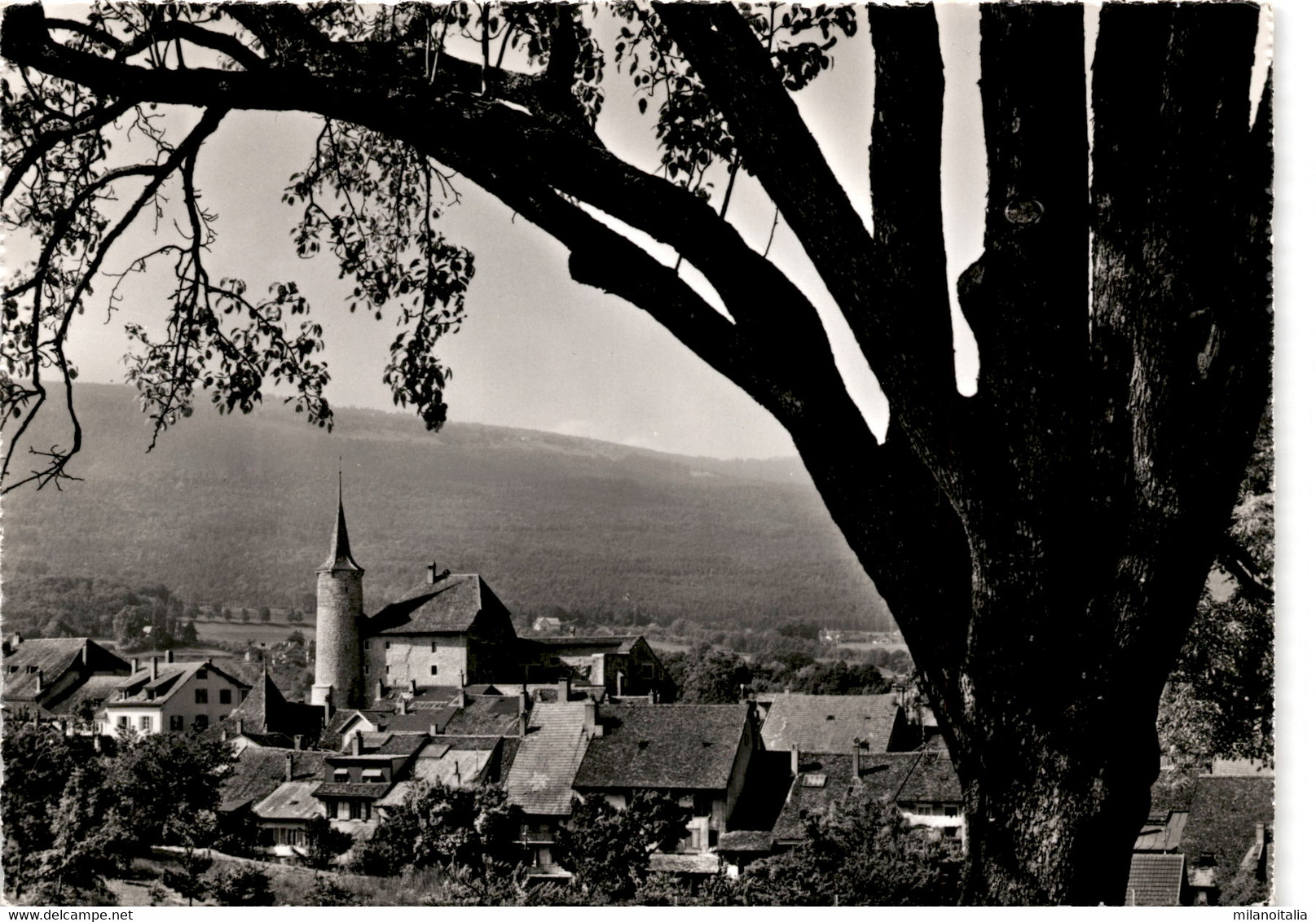 Chateau De Boudry (383) - Boudry