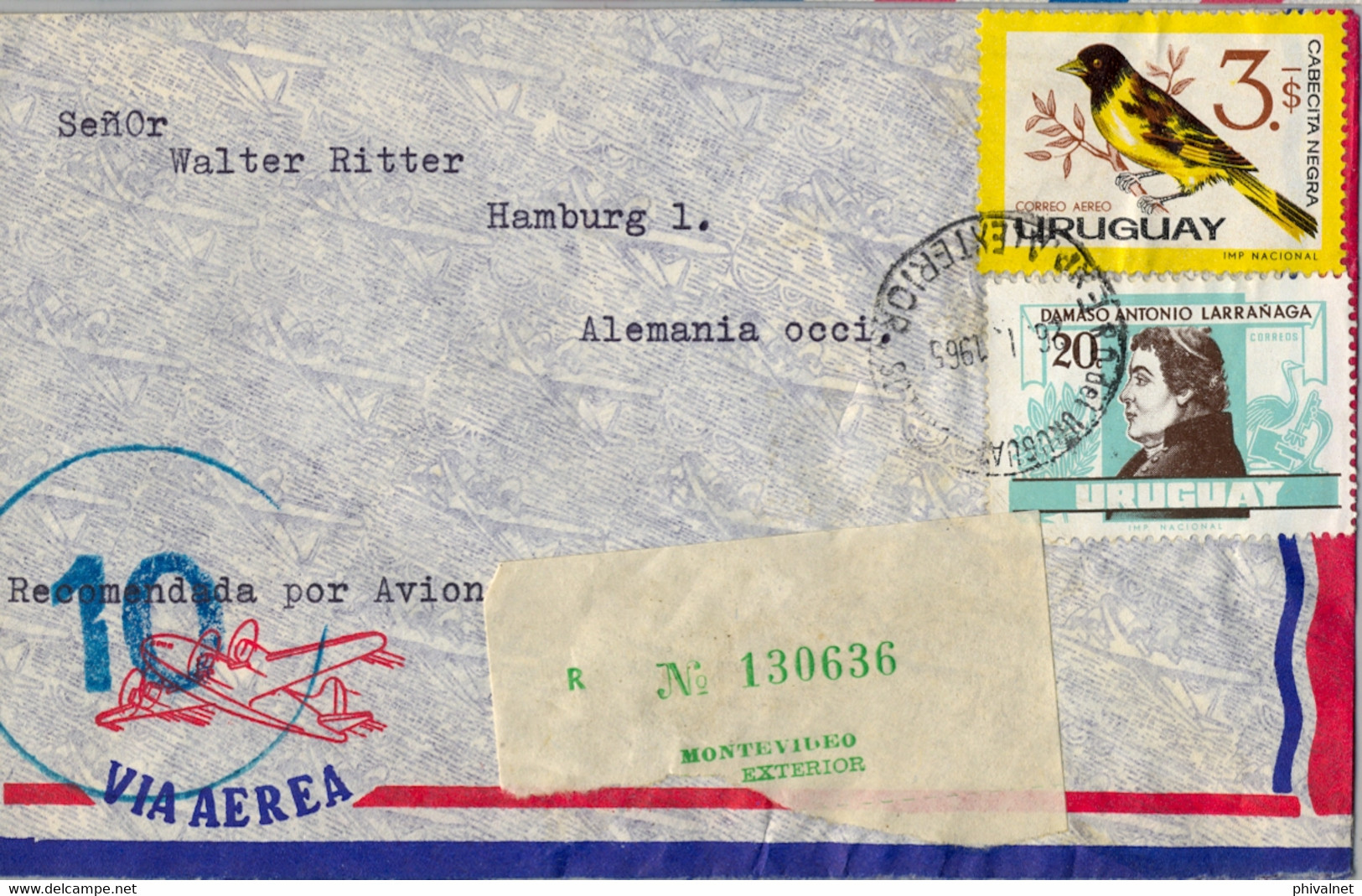 1965  URUGUAY ,  CERTIFICADO , MONTEVIDEO - HAMBURGO , VIA AÉREA , FAUNA URUGUAYA , AVES , BIRDS , LARRAÑAGA - Uruguay