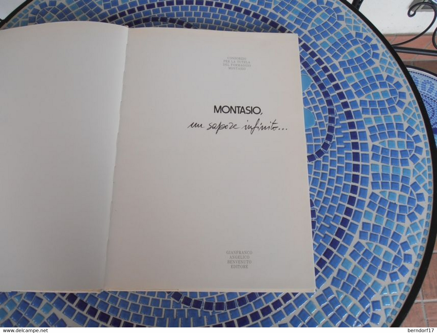 MONTASIO UN SAPORE INFINITO - Ed. BENVENUTO - Encyclopedias