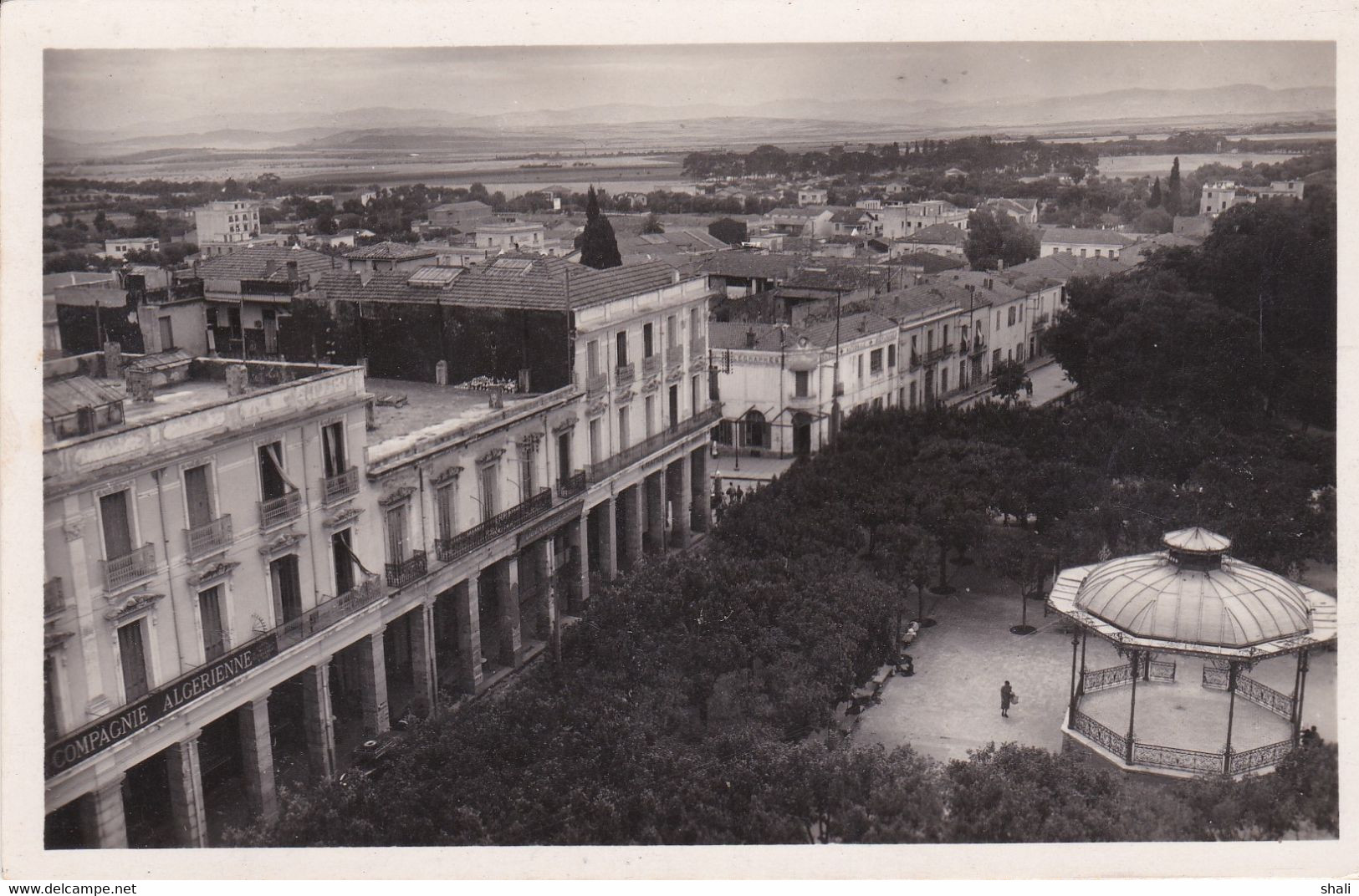 CPSM GUELMA VUE GENERALE - Guelma