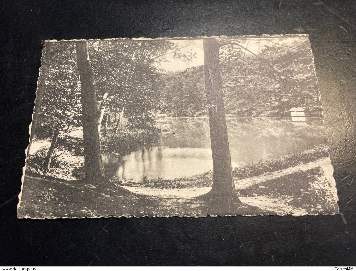 Forêt De Soignes La Mare Aux Canards Carte Provenant De La Succession Du Photographe Fassotte PBL - Uccle - Ukkel