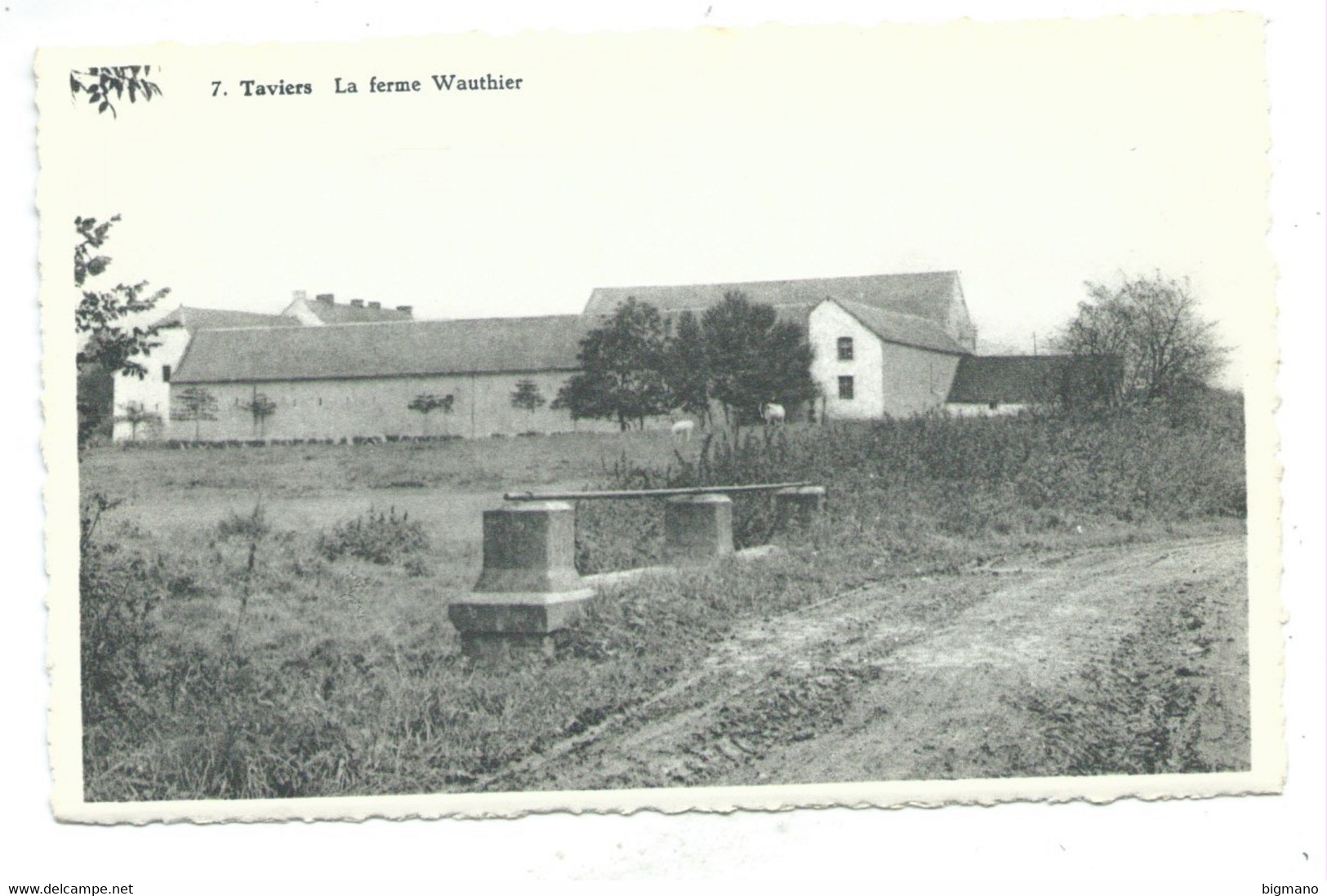 Taviers Ferme Wauthier - Eghezée