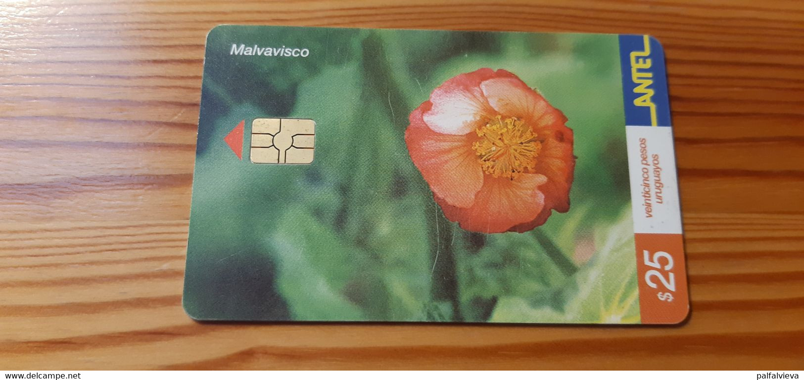 Phonecard Uruguay - Flower - Uruguay