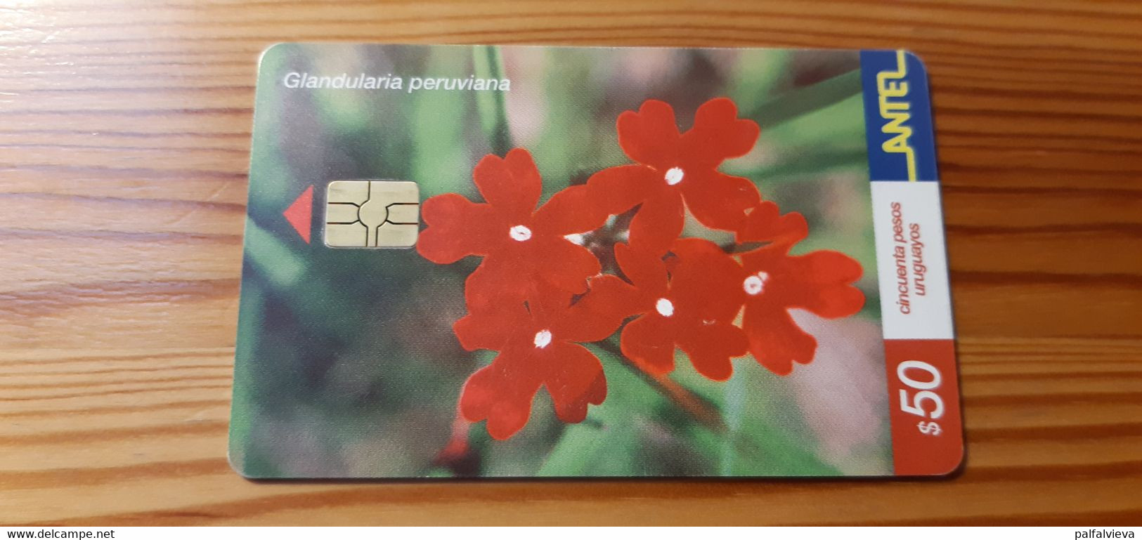 Phonecard Uruguay - Flower - Uruguay