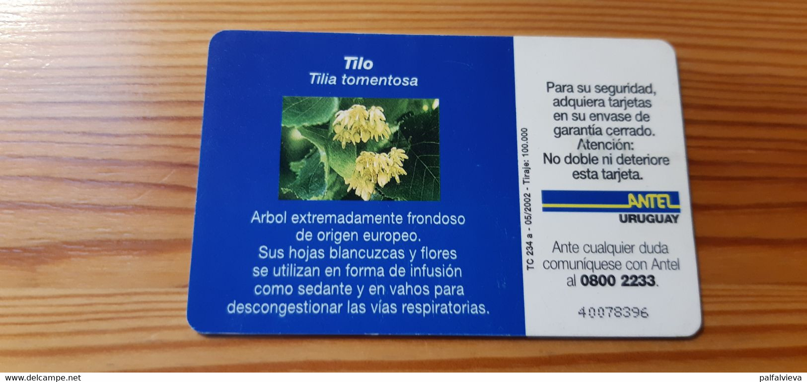 Phonecard Uruguay - Flower - Uruguay