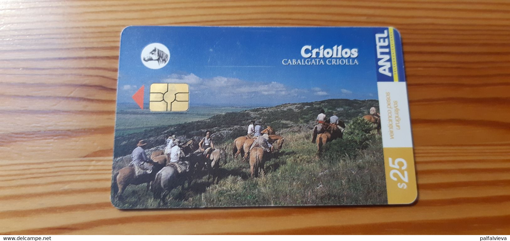 Phonecard Uruguay - Horse - Uruguay