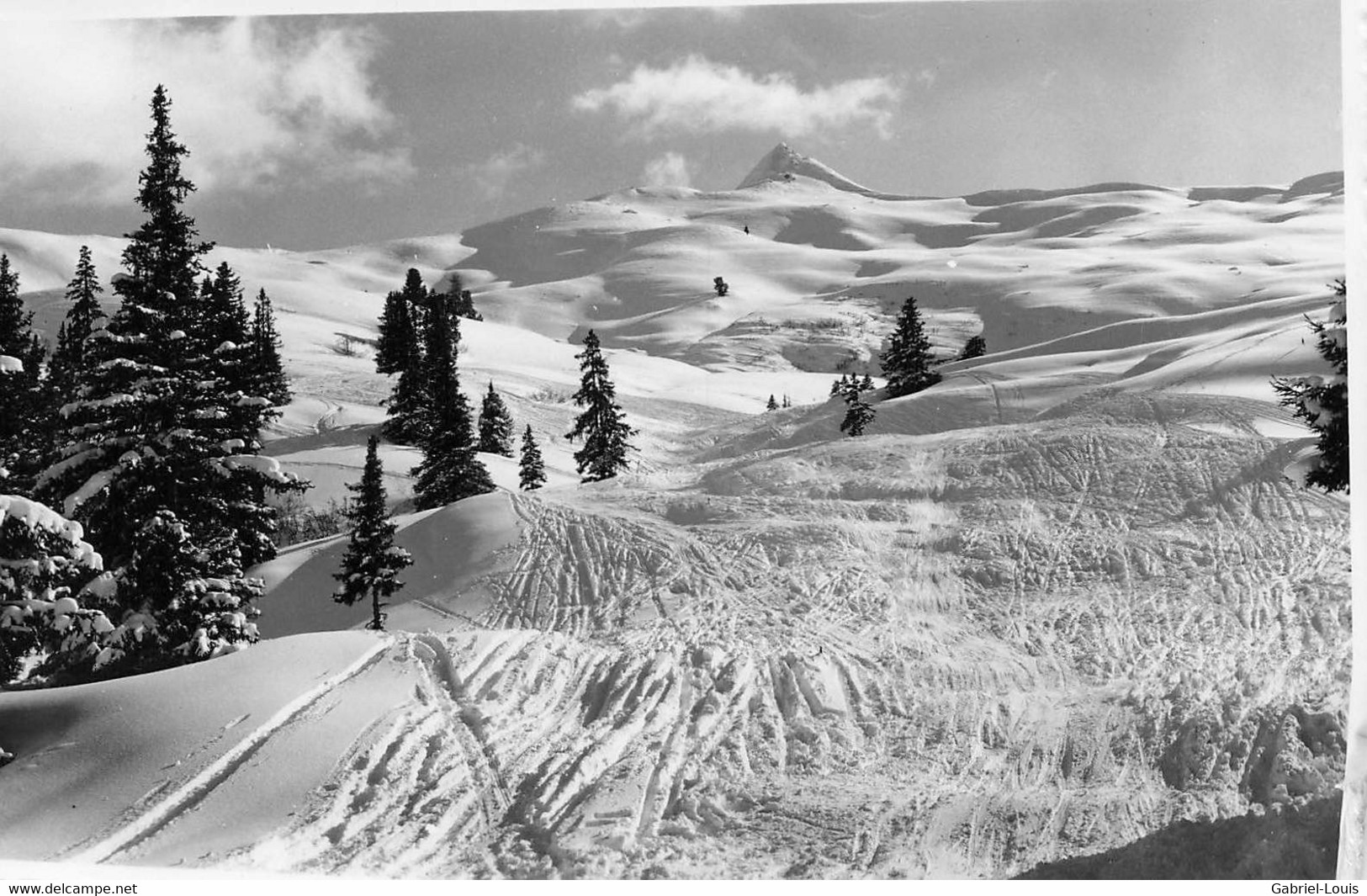 Parsenn Abfahrt Küblis Im Alpengarten - Küblis