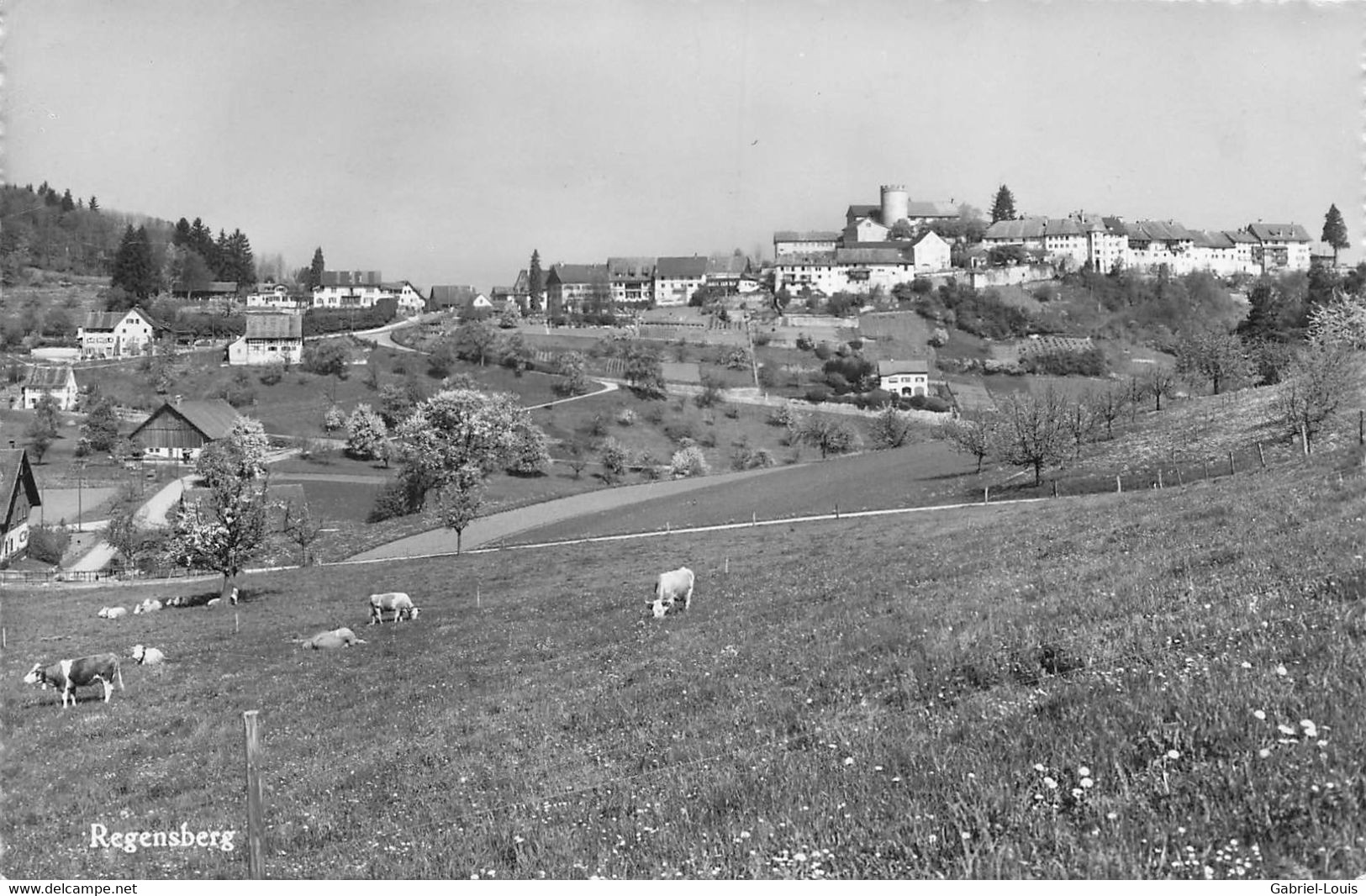 Rengensberg - Enge