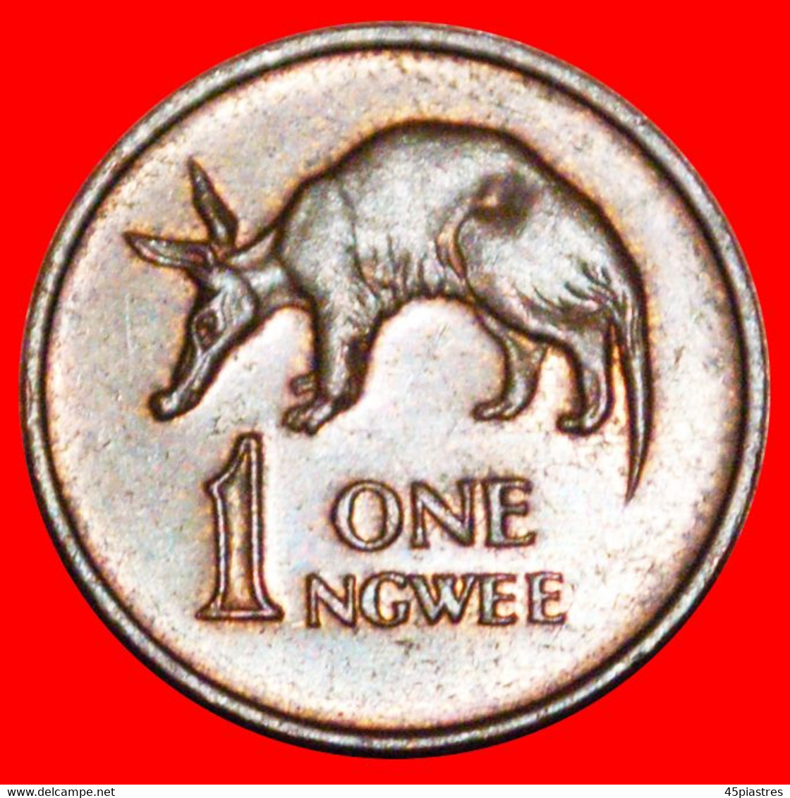 * GREAT BRITAIN (1982-1983): ZAMBIA ★ 1 NGWEE 1983 ANTEATER! LOW START ★ NO RESERVE! - Zambia