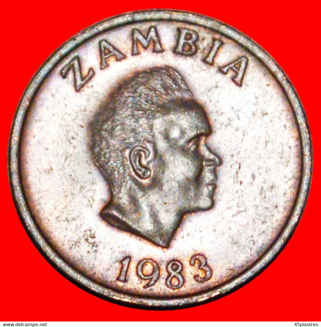 * GREAT BRITAIN (1982-1983): ZAMBIA ★ 1 NGWEE 1983 ANTEATER! LOW START ★ NO RESERVE! - Zambie