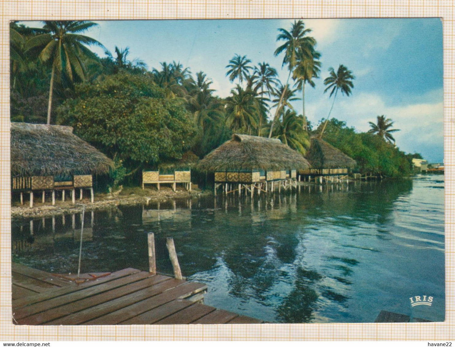 22C11 ILE DE TAHAA VILLAGE JUNGLE DE TIVA - Polynésie Française