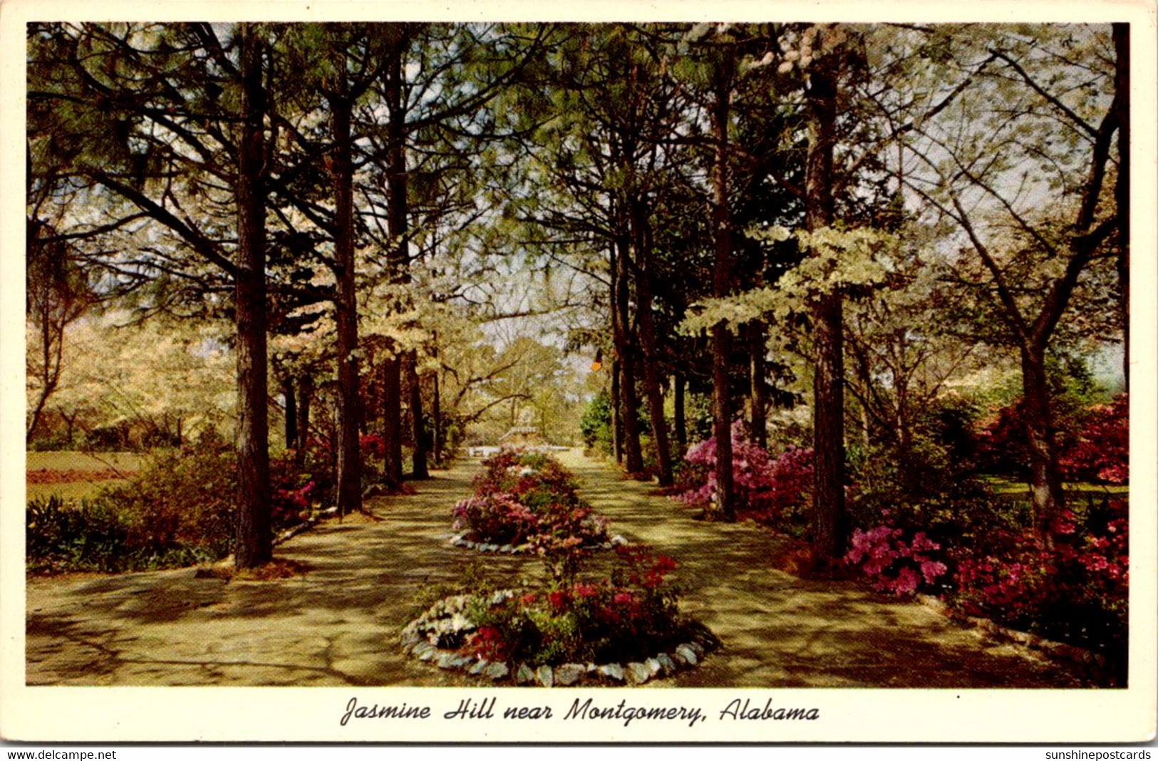 Alabama Montgomery Jasmine Hill Looking Down A Pine Vista To The Egyptian Fountain - Montgomery